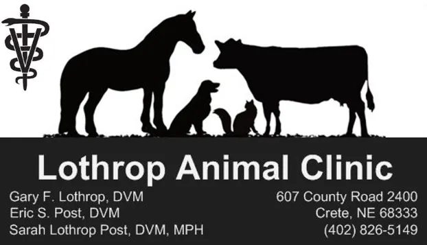 Lothrop Animal Clinic Picture 7