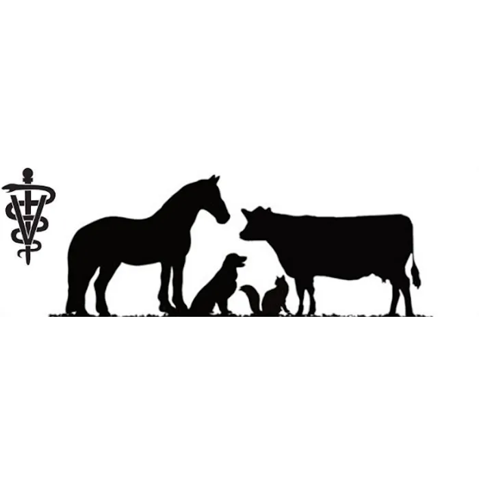 Lothrop Animal Clinic Picture 9