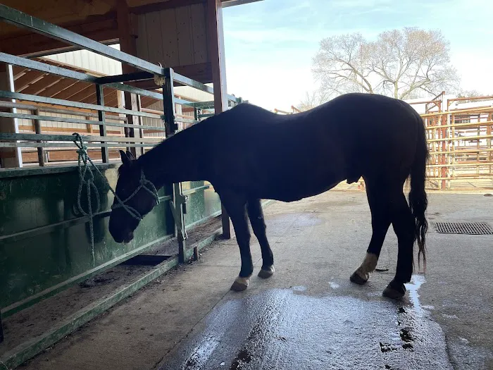Crete Veterinary Clinic Picture 3