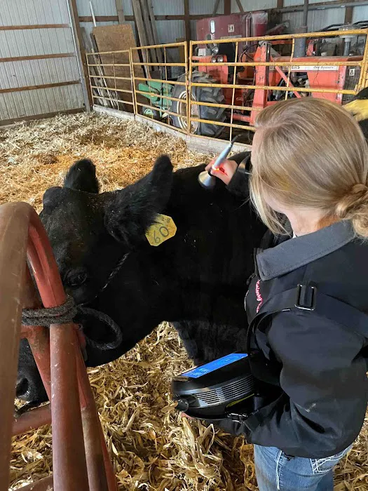 Crete Veterinary Clinic Picture 4