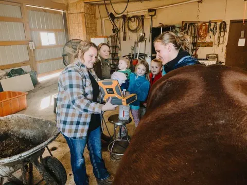 Crete Veterinary Clinic Picture 7