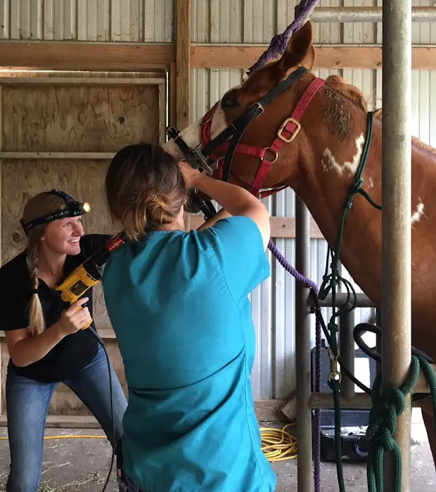Crete Veterinary Clinic Picture 8