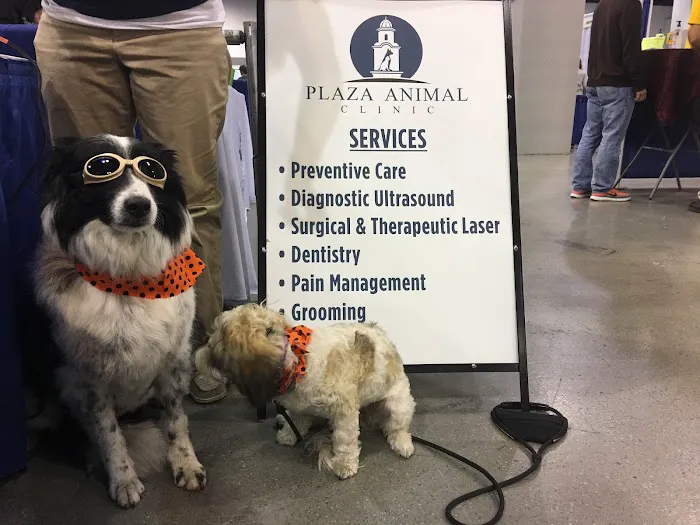 Vet Plaza Animal Clinic Picture 3