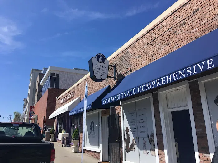 Vet Plaza Animal Clinic Picture 2