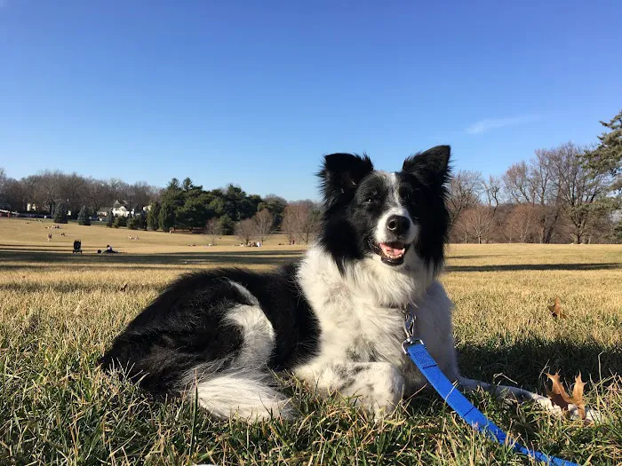 Vet Plaza Animal Clinic Picture 7