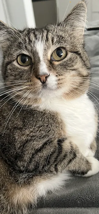 Vet Plaza Animal Clinic Picture 9