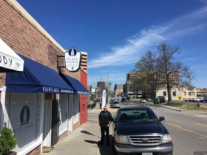 Vet Plaza Animal Clinic Picture 10