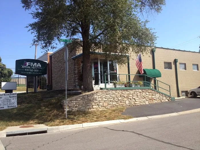 FMA Animal Hospital Picture 9