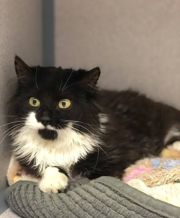 Bachman Ron w DVM Picture 1