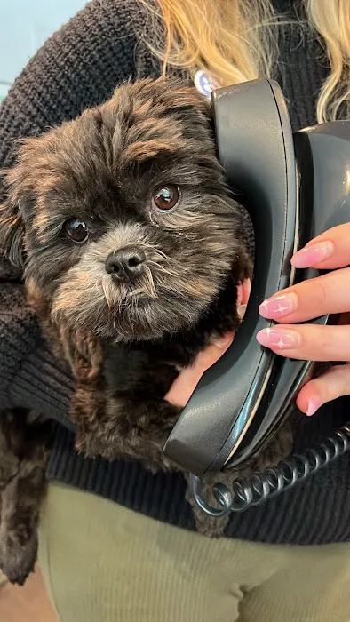 Westwood Animal Hospital Picture 7