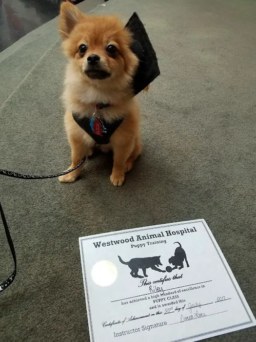 Westwood Animal Hospital Picture 9