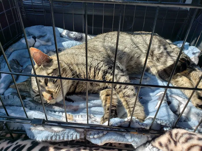 Pet Resource Center of Kansas City Picture 2