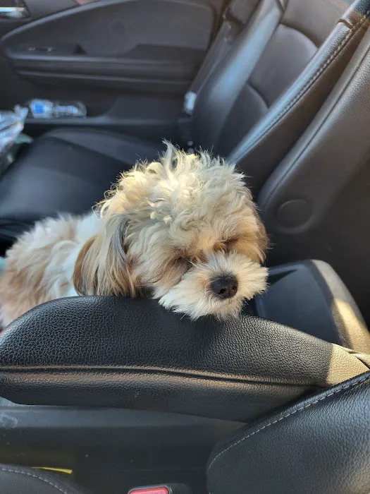 Pet Resource Center of Kansas City Picture 7