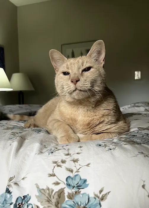 Noah's Ark Animal Clinic Picture 4