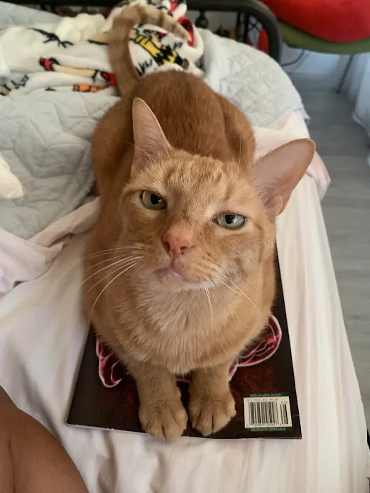 Noah's Ark Animal Clinic Picture 1