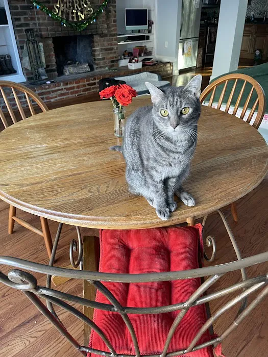 Noah's Ark Animal Clinic Picture 2