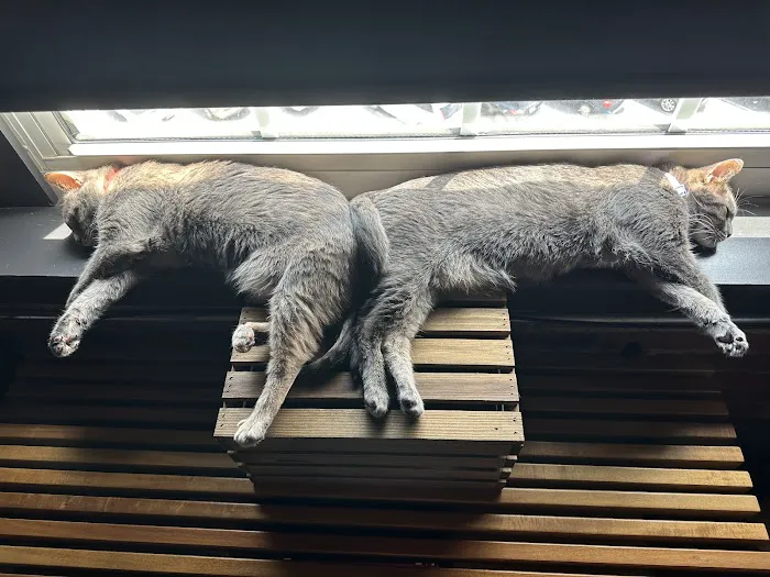 Noah's Ark Animal Clinic Picture 5