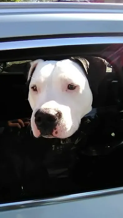 Noah's Ark Animal Clinic Picture 9