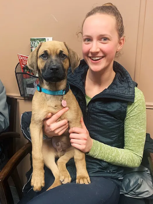 Rockhill Pet Clinic Picture 1