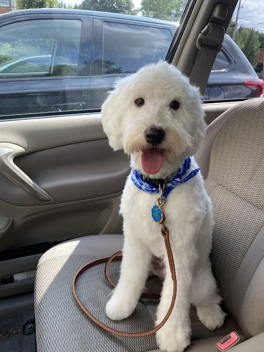 Rockhill Pet Clinic Picture 3