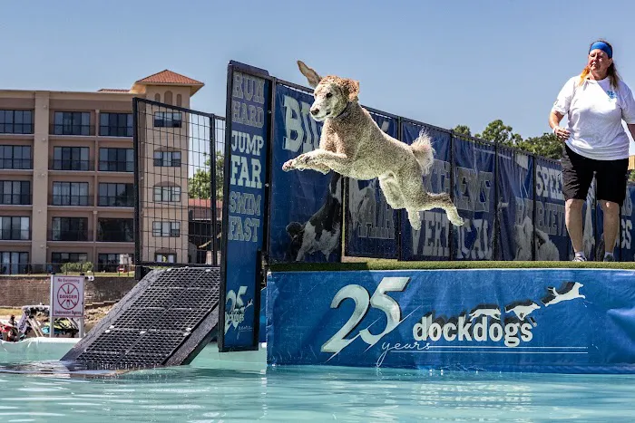 Rockhill Pet Clinic Picture 4