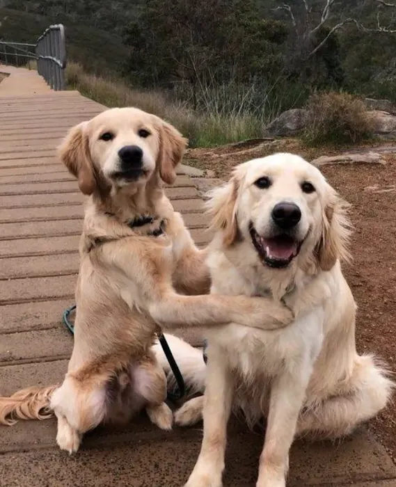 Rockhill Pet Clinic Picture 10