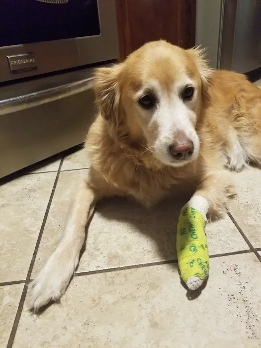 VCA Fairway Animal Hospital Picture 7