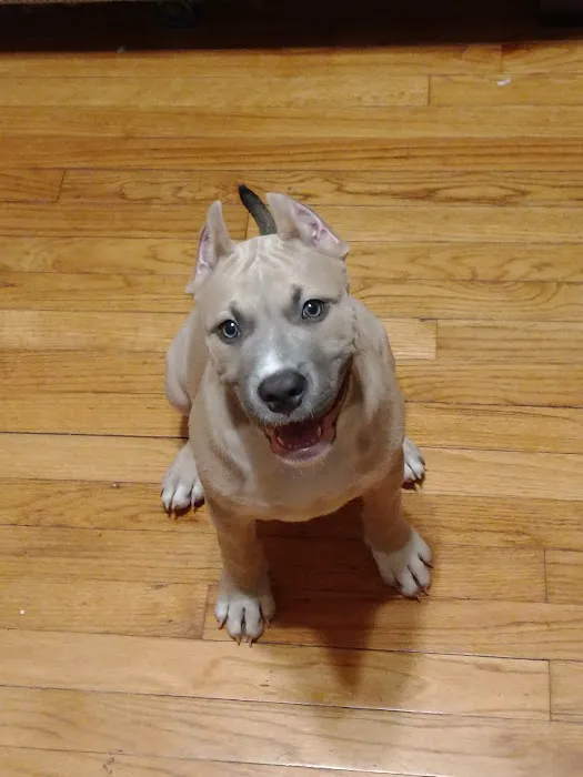 Eastwood Animal Hospital: Goosen J L DVM Picture 3