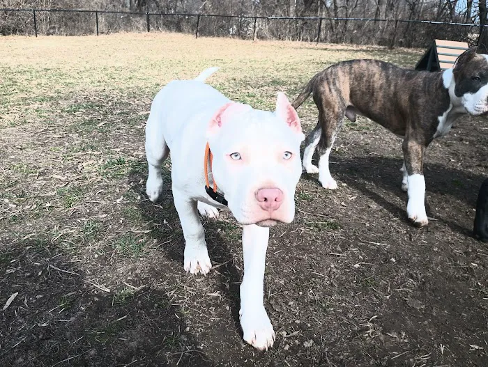 Eastwood Hills Animal Hospital Picture 1