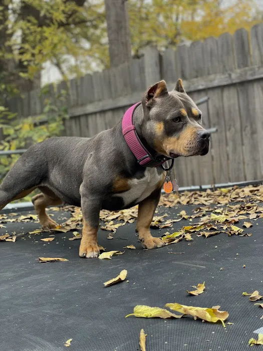 Eastwood Hills Animal Hospital Picture 2