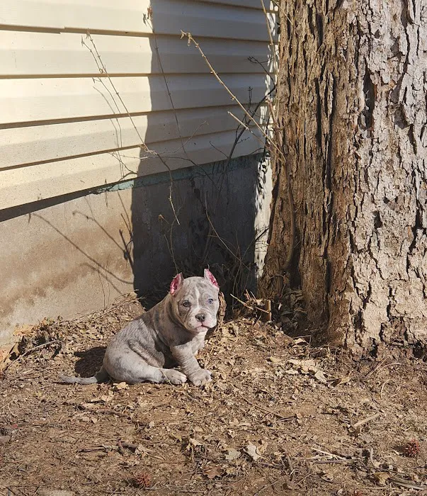 Eastwood Hills Animal Hospital Picture 4