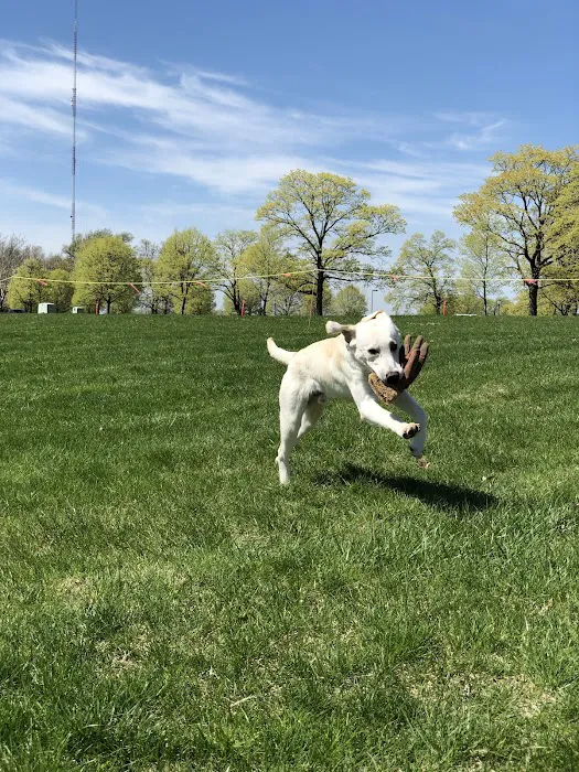 Eastwood Hills Animal Hospital Picture 7