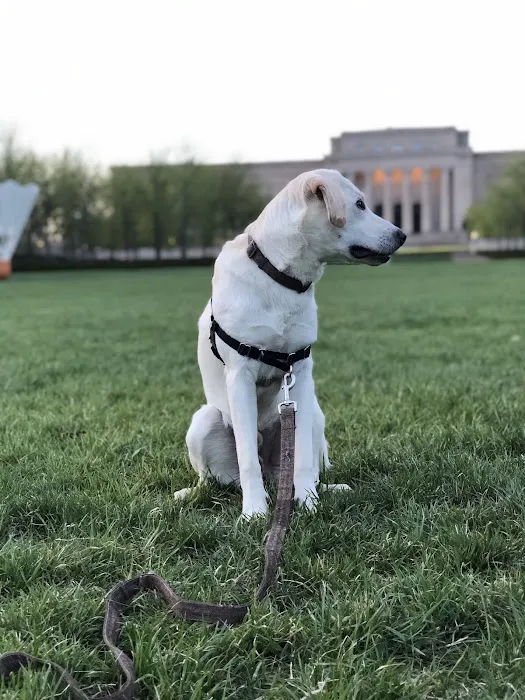 Eastwood Hills Animal Hospital Picture 6