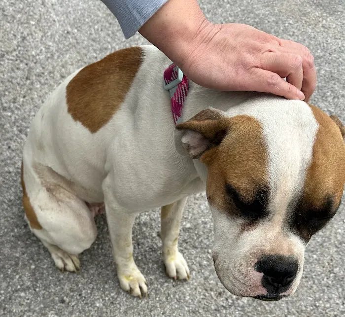 Eastwood Hills Animal Hospital Picture 8