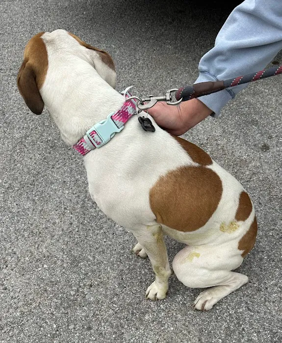 Eastwood Hills Animal Hospital Picture 9