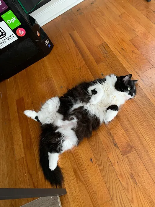 Mill Creek Animal Hospital Picture 1