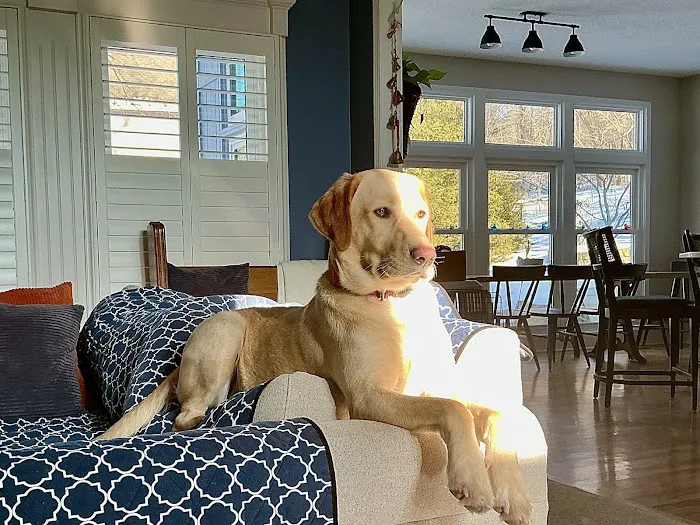 Mill Creek Animal Hospital Picture 5