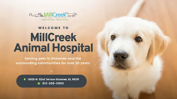 Mill Creek Animal Hospital Picture 2