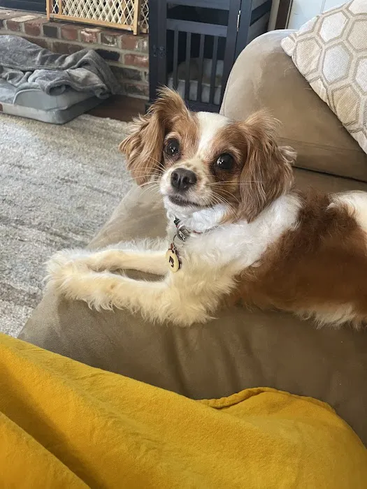 Mill Creek Animal Hospital Picture 3