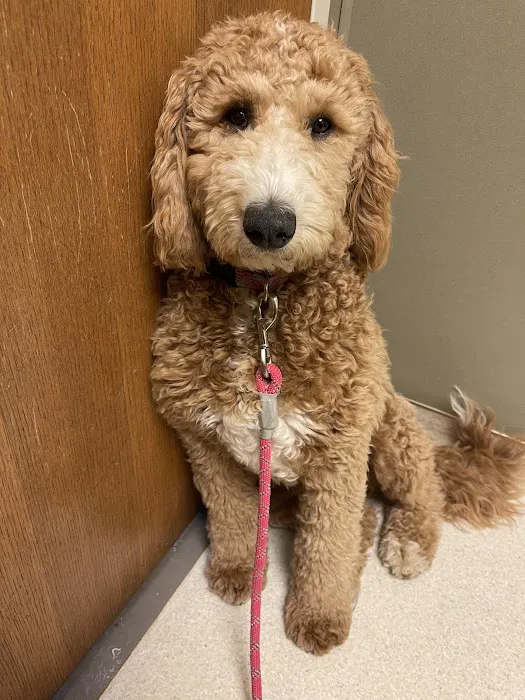 Mill Creek Animal Hospital Picture 8