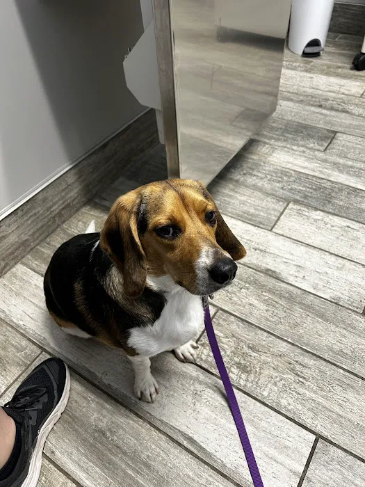 Mill Creek Animal Hospital Picture 7