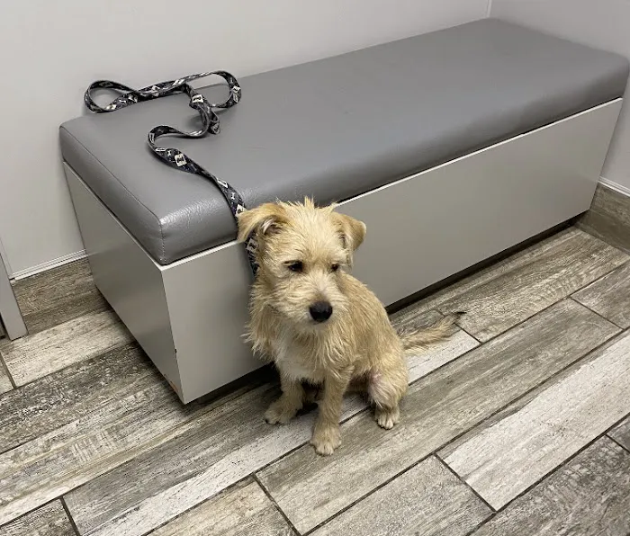 Mill Creek Animal Hospital Picture 9