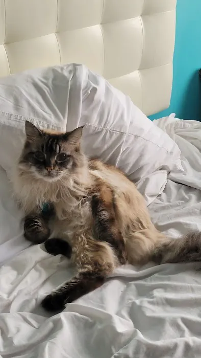 Sunflower Animal Hospital Picture 3