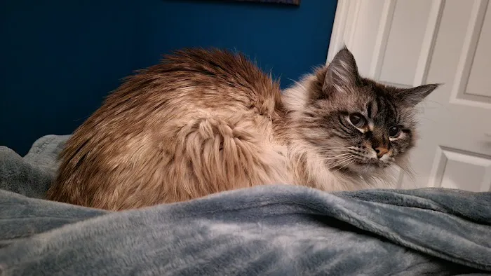 Sunflower Animal Hospital Picture 2