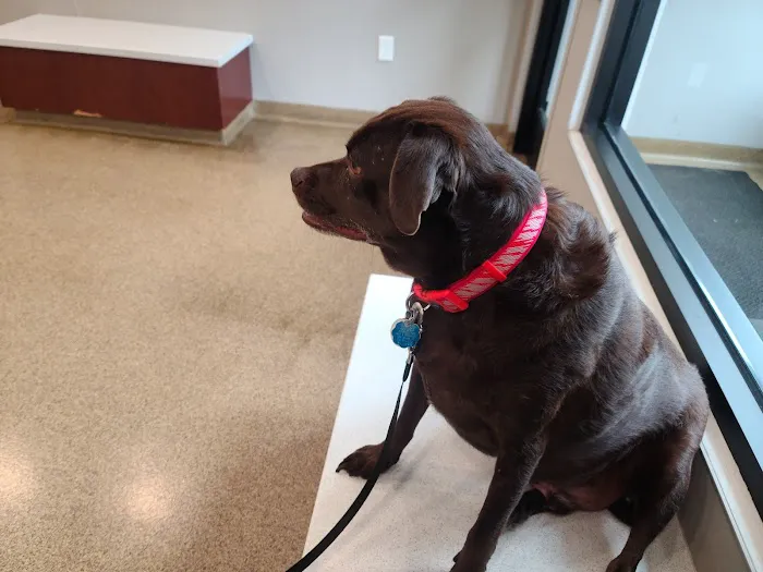 Sunflower Animal Hospital Picture 1