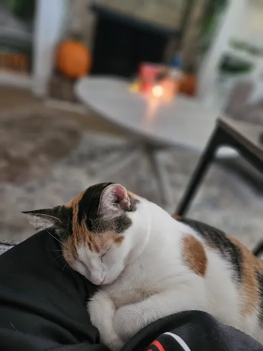 Sunflower Animal Hospital Picture 5