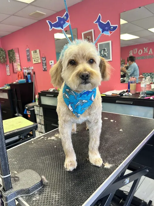 Family Pet Hospital Of Shawnee Picture 1