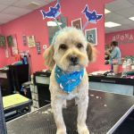 Family Pet Hospital Of Shawnee