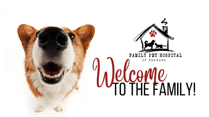 Family Pet Hospital Of Shawnee Picture 2