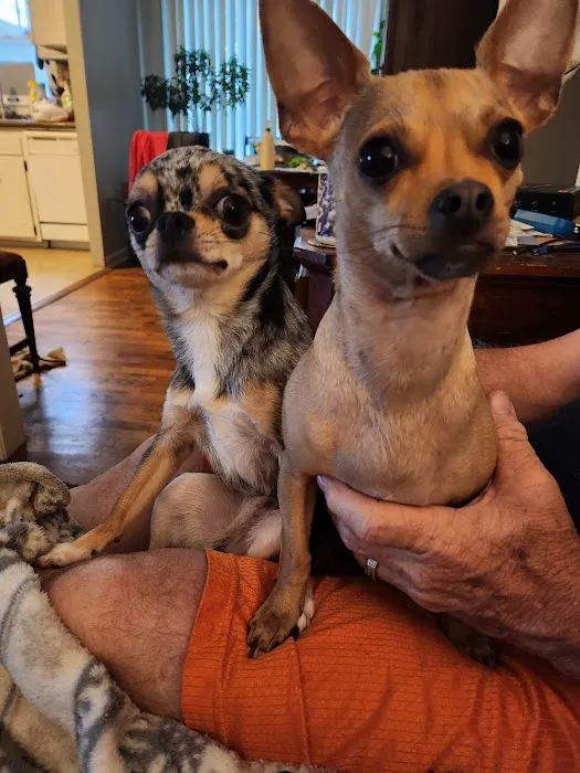 Family Pet Hospital Of Shawnee Picture 4